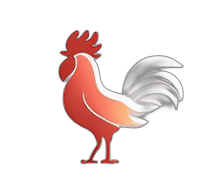 Fort Mill Mascot